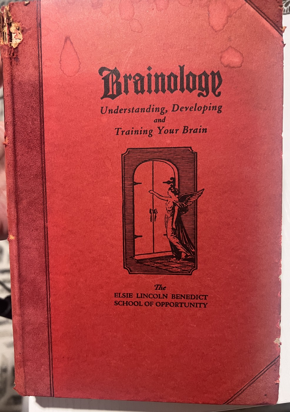 Heather-supplied historical cover: Brainology: Understanding, Developing and Training Your Brain